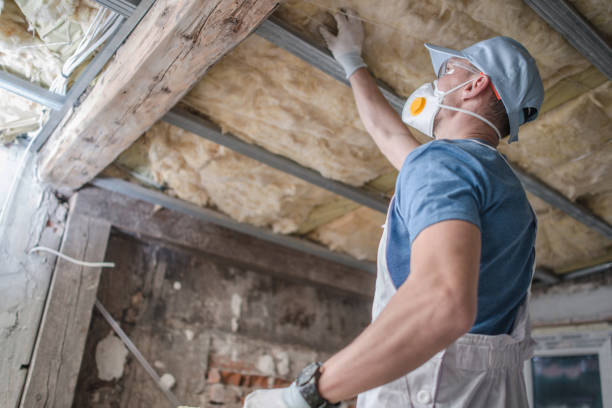 Best Insulation Repair Services  in Country Club Hills, MO