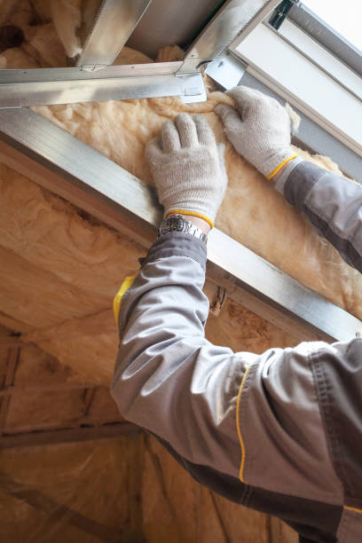 Best Cellulose Insulation  in Country Club Hills, MO