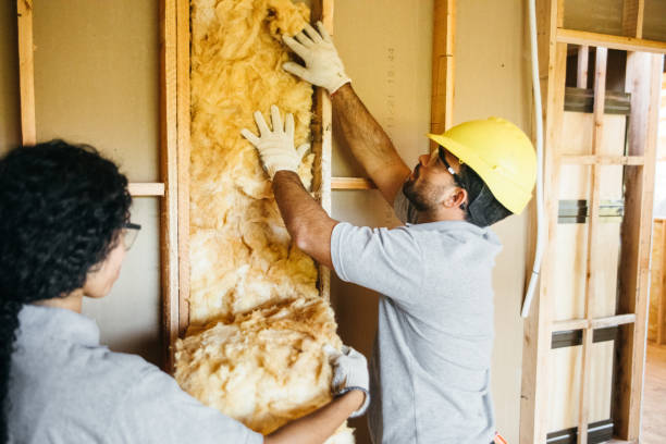 Best Insulation Contractors for Homes  in Country Club Hills, MO