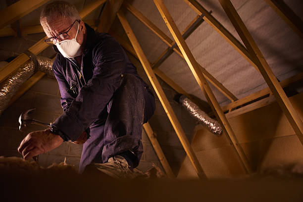 Best Home Insulation Services  in Country Club Hills, MO