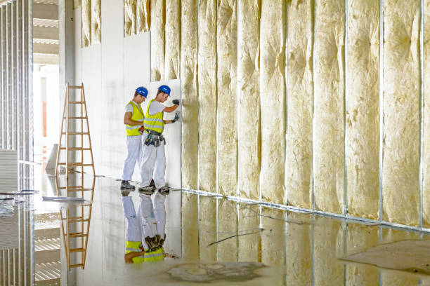 Insulation for Commercial Buildings in Country Club Hills, MO
